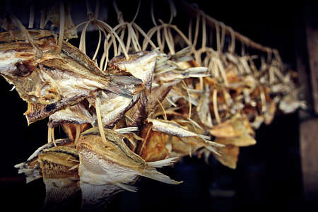 Dried fishの写真素材
