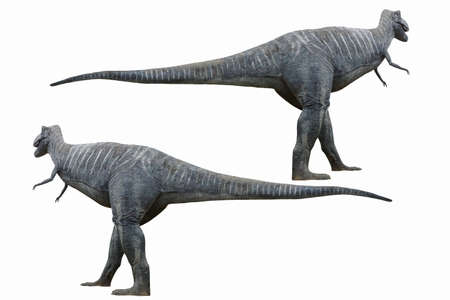 Tyrannosaurus a large carnivorous dinosaurの写真素材