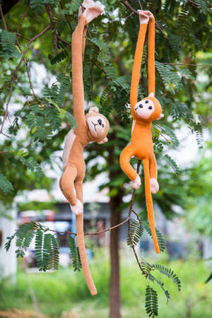 monkey perched on a treeの写真素材