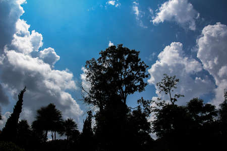 sky,silhouette in natureの写真素材