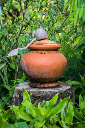 Water clay pot in natureの写真素材
