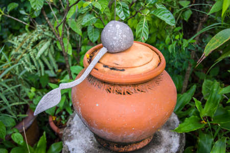 Water clay pot in natureの写真素材