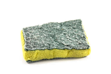 Sponge isolated on white の写真素材