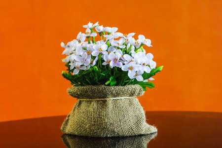 bouquet backgroundの写真素材