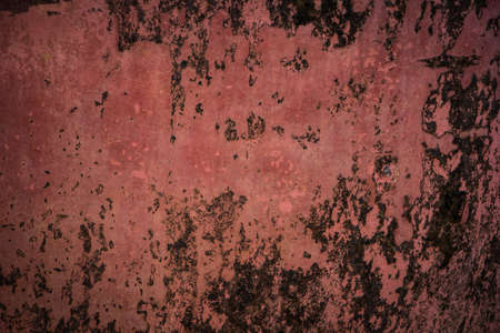 cement wallの写真素材