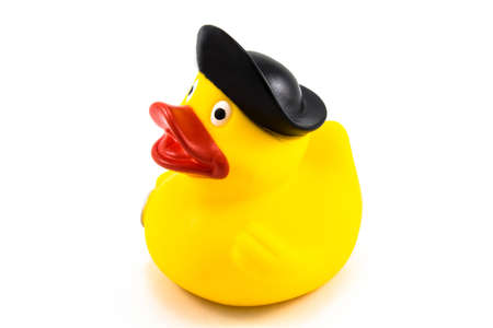 Drake toy isolatedの写真素材