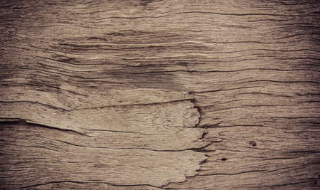 wood texture backgroundの写真素材