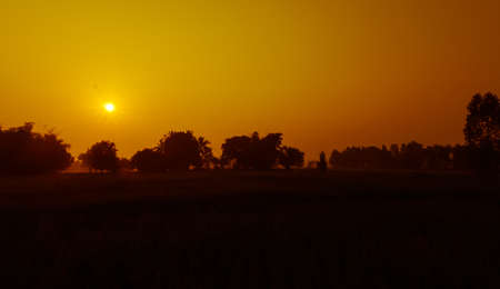 Morning Sun の写真素材