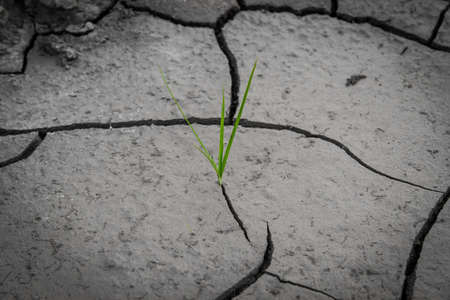 cracked soil texture and backgroundの写真素材