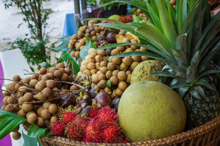 fruit backgroundの写真素材