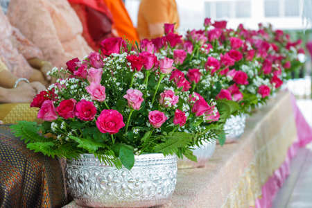 Roses backgroundの写真素材