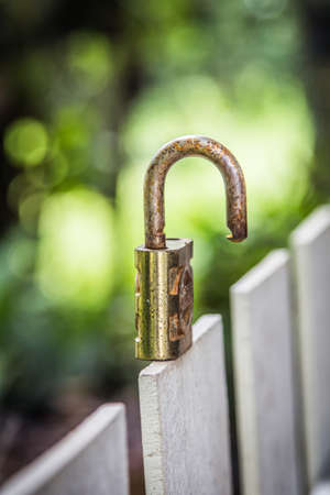 Old golden keyの写真素材