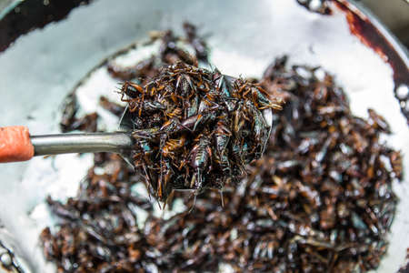 Crispy fried insects are regional delicacies in many Asian countries like Thailandの写真素材