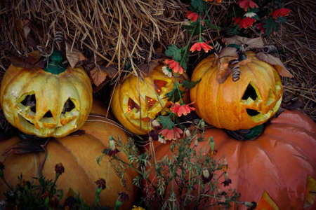 Jack O Lantern halloween pumpkinの写真素材