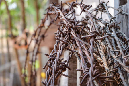 Old rusty barbed wireの写真素材