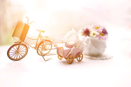 Bicycle and small flower pot decoration in coffee shop with sunlight background.の写真素材