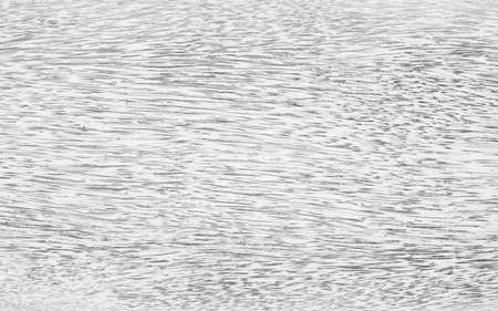 Wood floor texture pattern plank surface painted white pastel wall backgroundの写真素材