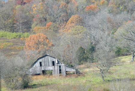old barn in the treesの写真素材