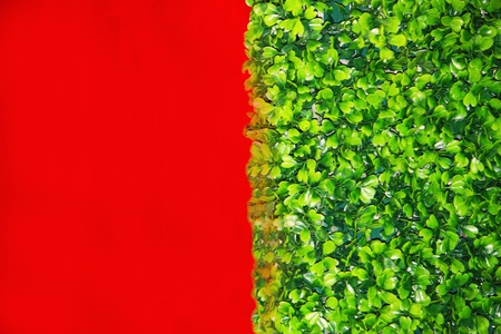background color