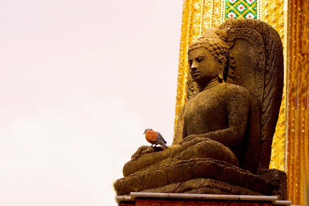 statue of buddhist with the birdの写真素材