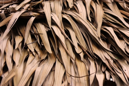 roof backgroundの写真素材