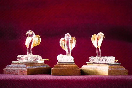 chinese astrology year of snakeの写真素材