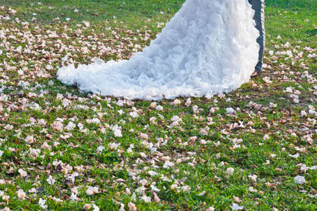 Wedding celebrate on the grass field and fall flowersの写真素材