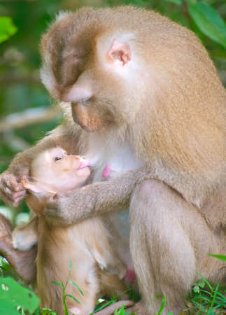 Feeding and take care her baby