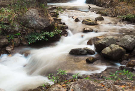 Water fall in rainyの写真素材