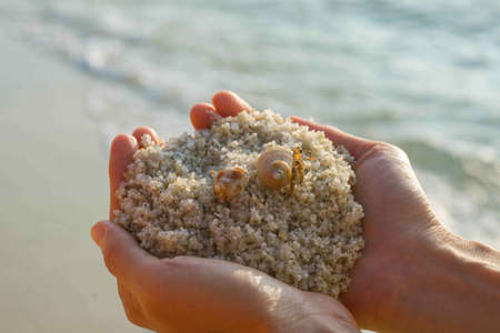 Save environment on her handの写真素材