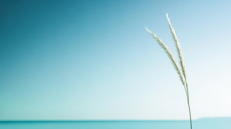 Tall grass stands alone against a calm, blue sky over the ocean. The clear atmosphere creates a peaceful and serene feeling, ideal for reflection.の素材