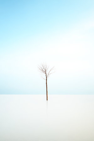 A solitary tree rises from the still water, surrounded by an expansive blue sky. The scene captures tranquility under bright daylight, highlighting nature's elegance.の素材