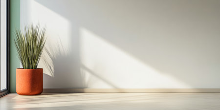 A green plant sits in an orange pot near a large window, with sunlight streaming in and casting long shadows on the light-colored wall and floor.の素材