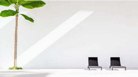 Two sleek black lounge chairs are positioned next to a tall palm tree against a white wall, illuminated by natural daylight. The setting is calm and inviting, perfect for relaxation.の素材
