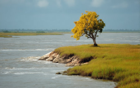 A vibrant yellow tree grows solitary on a grassy riverbank, with gentle waves lapping at the shore under a moody sky. The scene evokes peace and natural beauty.の素材