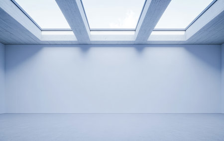 A clean and spacious room features large skylights allowing natural light to fill the area. The minimalistic design enhances the openness and tranquility of the space.の素材