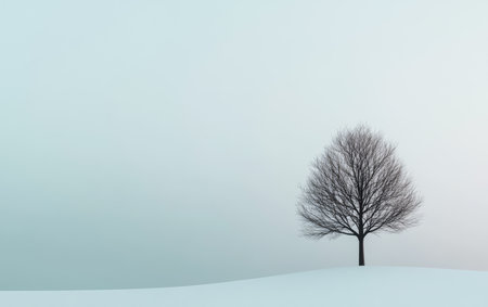 A solitary tree rises above a blanket of snow, surrounded by fog on a winter day. The muted colors create a serene and tranquil atmosphere in the landscape.の素材