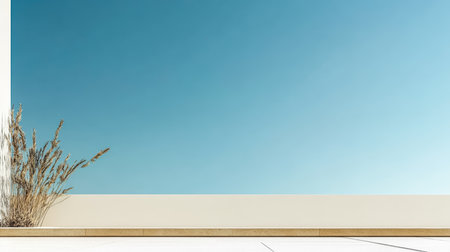 The scene features a clear blue sky above a simple white wall with a small plant at its base, conveying a sense of calm and tranquility in a warm setting.の素材