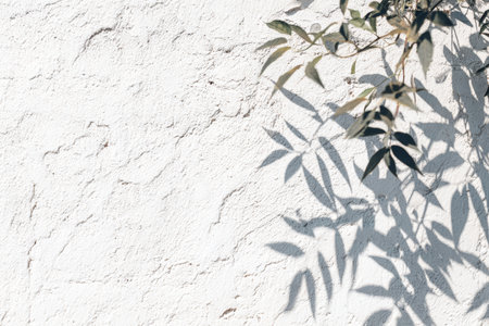 Sunlight illuminates a textured white wall. Shadows of leaves from nearby plants create patterns on the surface. This scene shows a simple moment outdoors in the afternoon.の素材