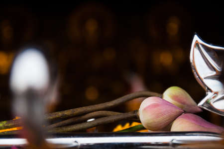 Bangkok templeの写真素材