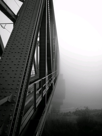 Foggy day, monochrome