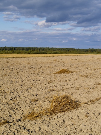 Polish Landscapeの写真素材