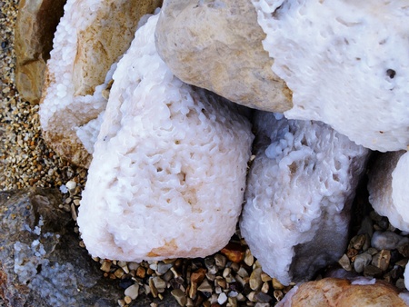 Salt on the Dead Sea Seashore, Israelの写真素材
