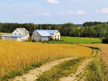 Suwalszczyzna, Polandのeditorial素材