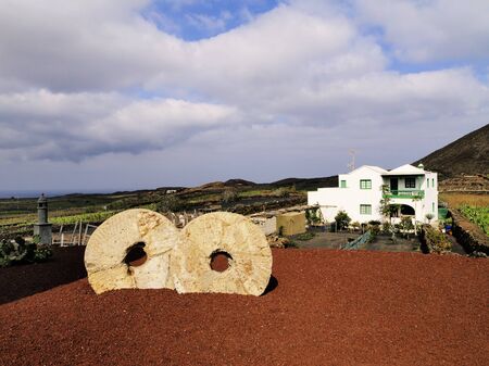 Jardin de Cactus, Lanzarote, Canary Islands, Spainの写真素材