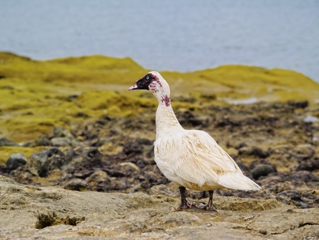 Agricultureの写真素材