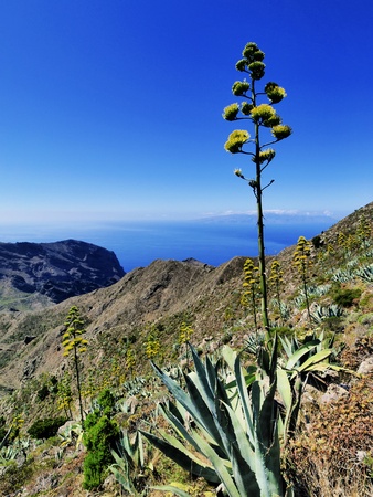 Teno Mountains, Tenerife, Canary Islands, Spainの写真素材