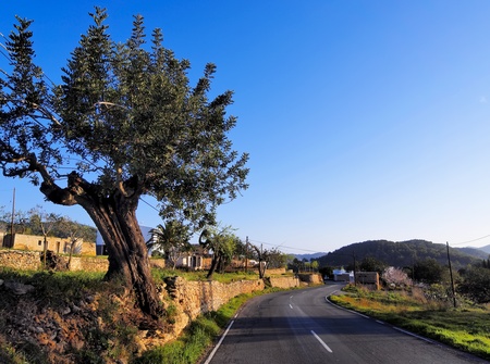 Ibiza Road, Balearic Islands, Spainの写真素材