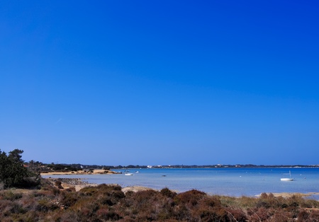 Estany des Peix, Formentera, Balearic Islands, Spainの写真素材