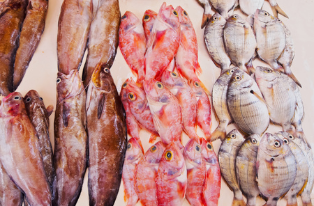 Fresh Fishes on the Market of the old medina in Essaouira, Morocco, Africa